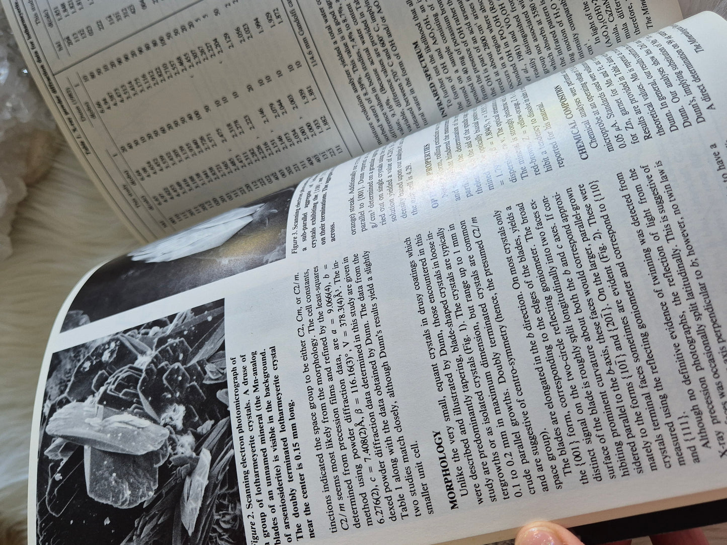 The Mineralogical Record July-August 1984 • Volume 15 • Number 4