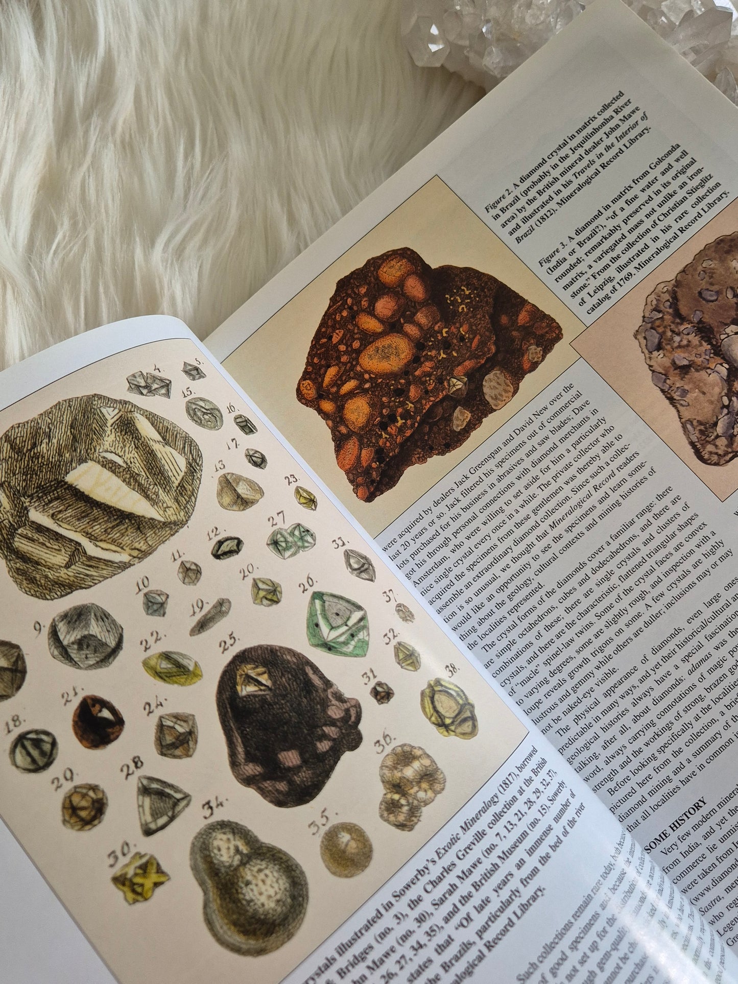 The Mineralogical Record January-Febuary 2004 • Volume 35 • Number 1