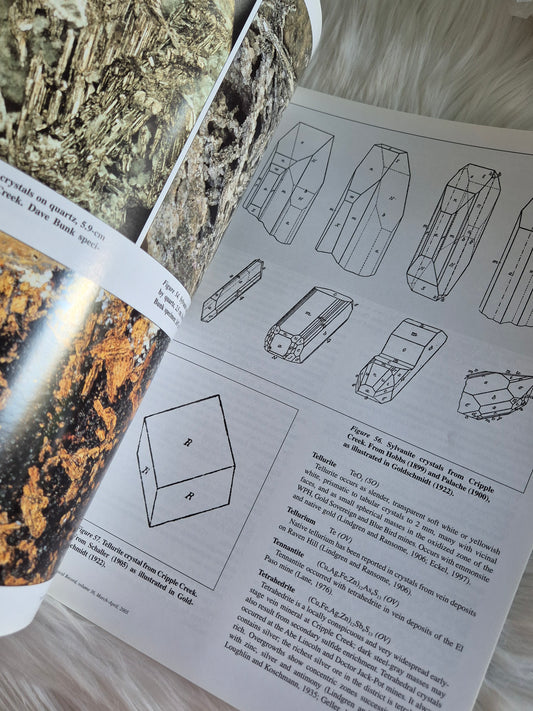 The Mineralogical Record March-April 2005 • Volume 36 • Number 2
