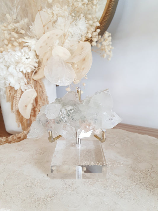 Specimen Stand Small