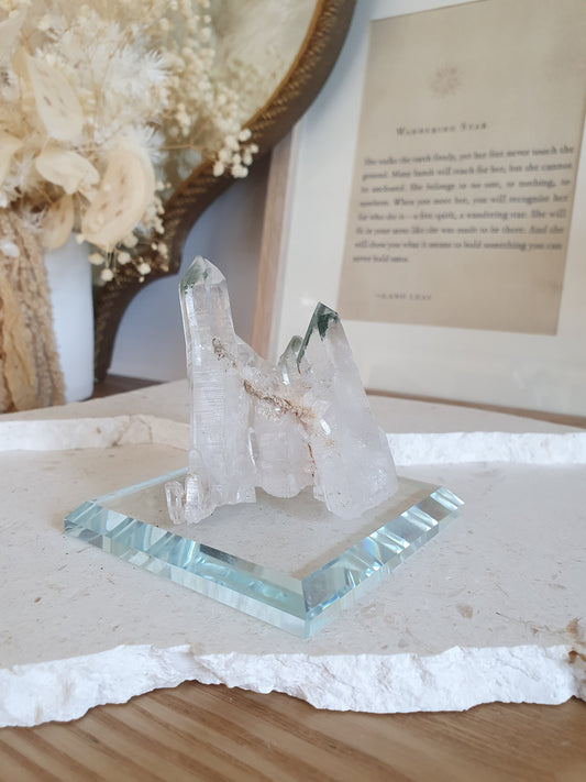 Glass Specimen Platform