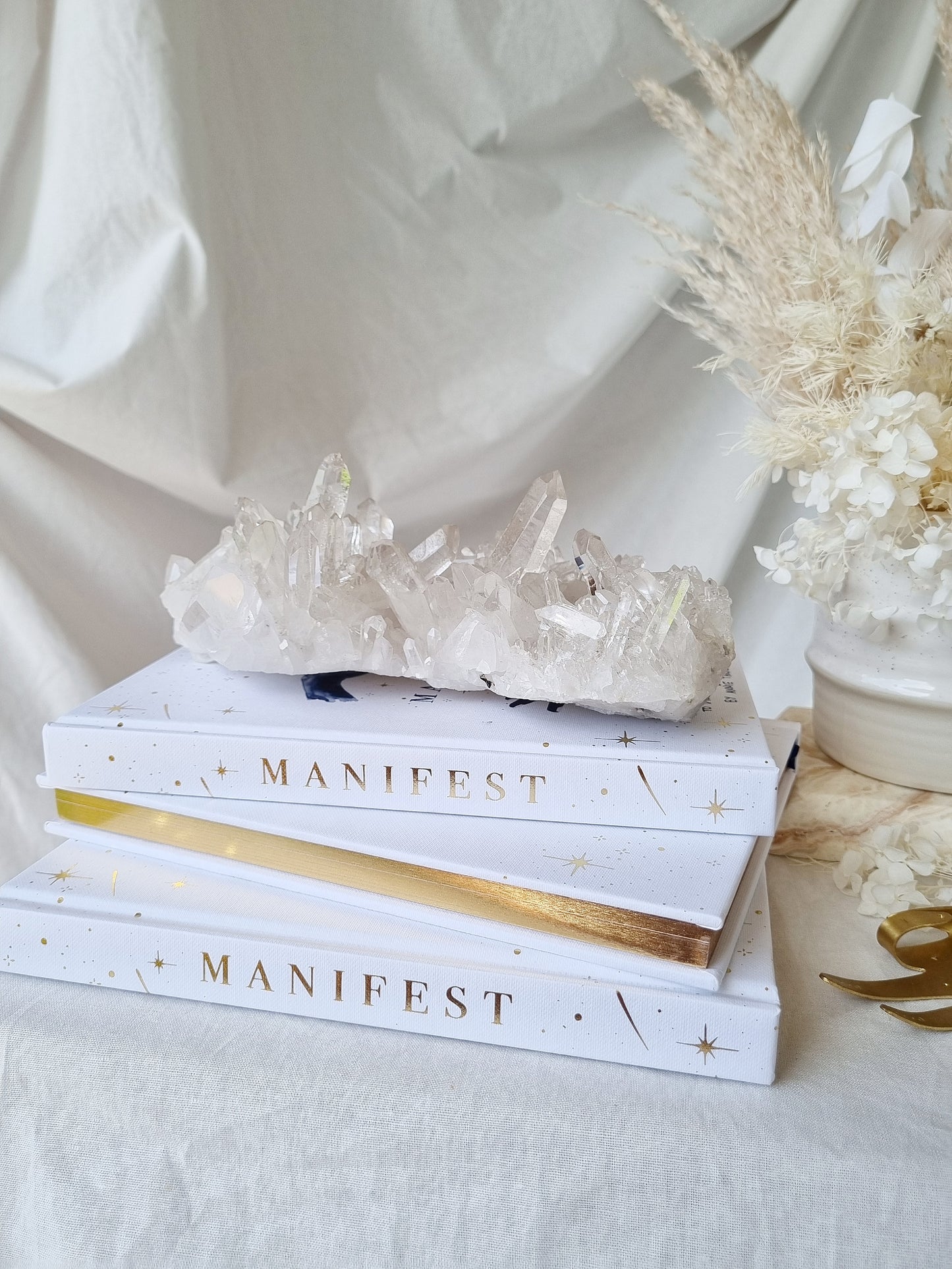MANIFEST Book By Annie Tarasova