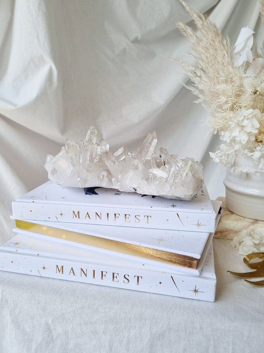 MANIFEST Book By Annie Tarasova