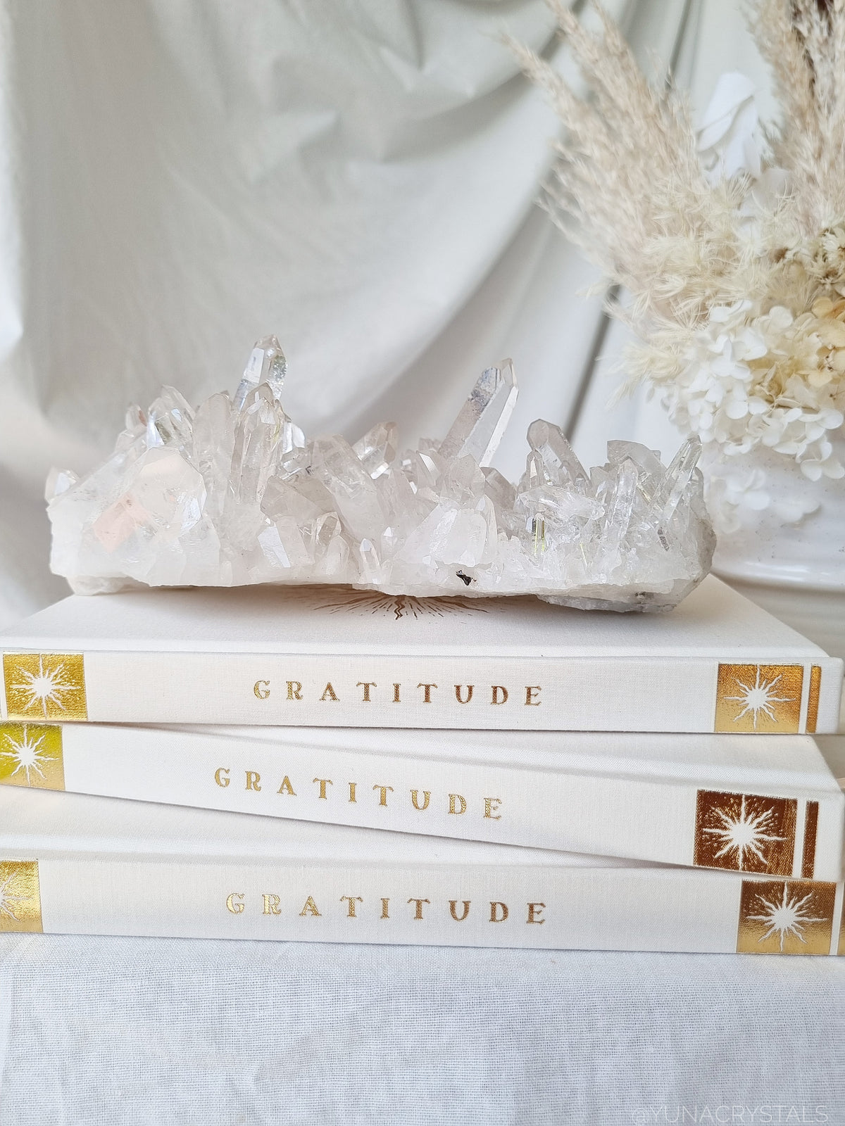 Books & Journals