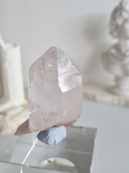 Pink Lemurian