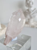 Pink Lemurian