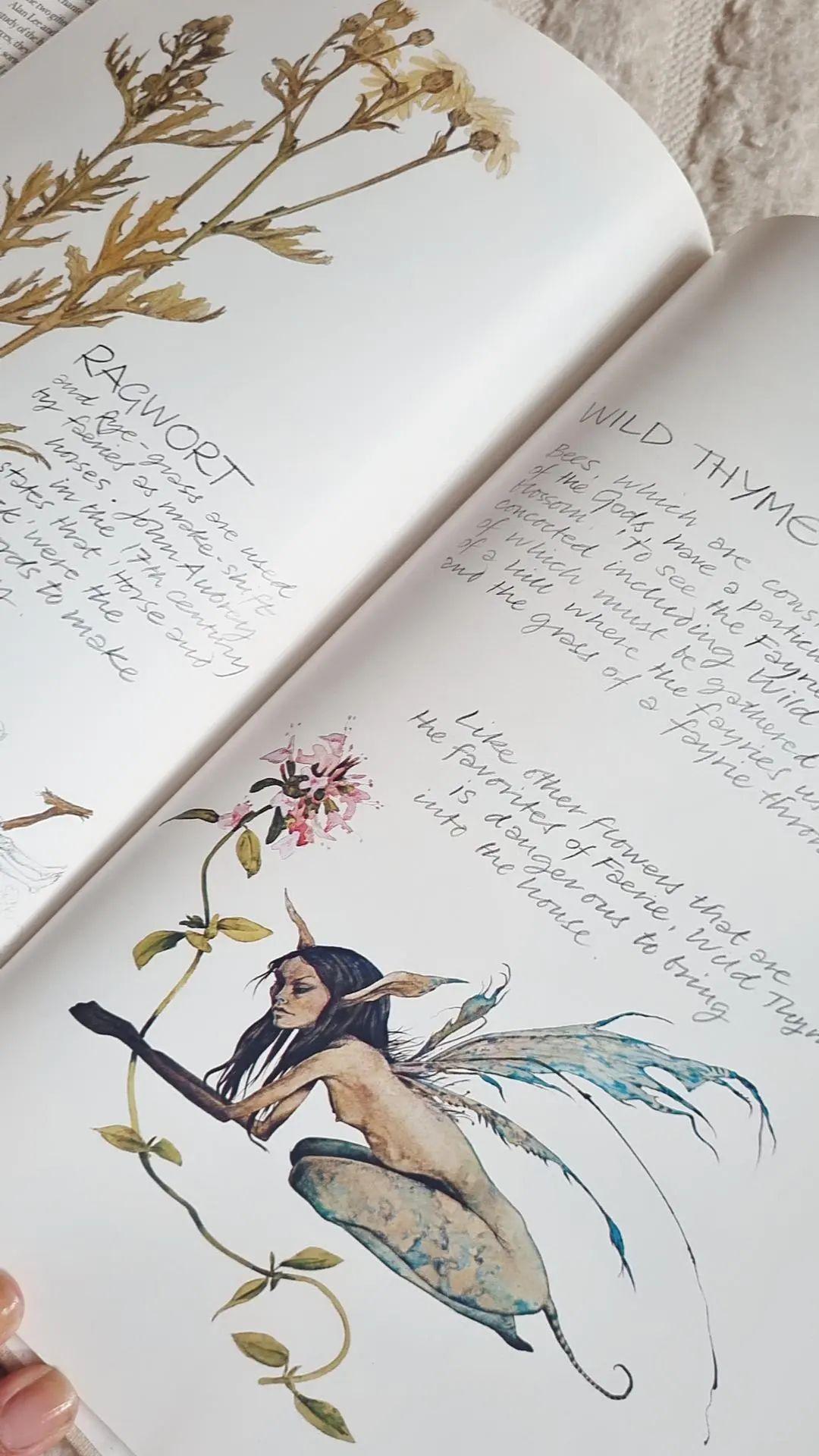 FAERIES by Brian Froud and Alan Lee - 1978 first edition with original dust jacket