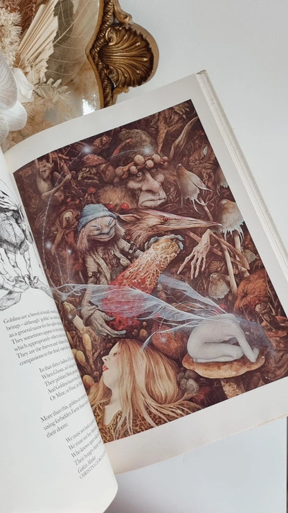 FAERIES by Brian Froud and Alan Lee - 1978 first edition with original dust jacket