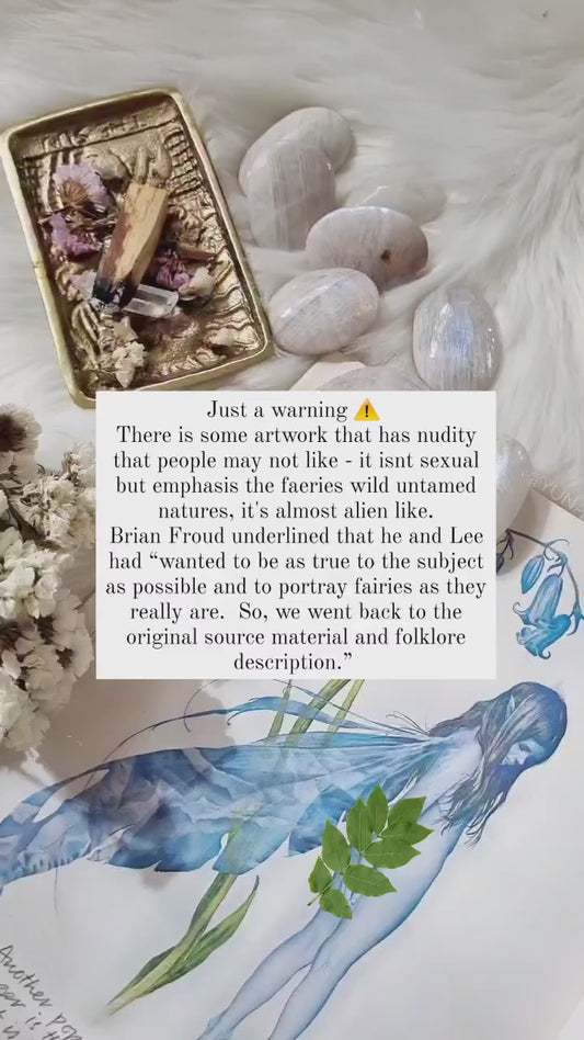 FAERIES by Brian Froud and Alan Lee - 1978 first edition with original dust jacket