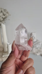 Pink Lemurian