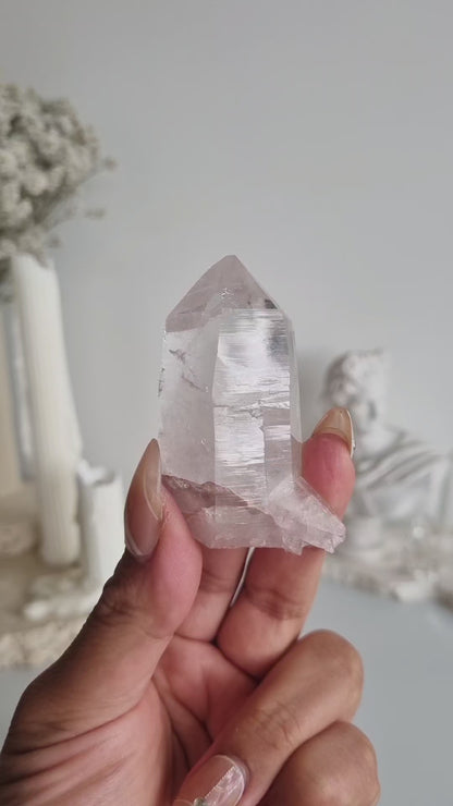 Pink Lemurian