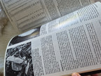 The Mineralogical Record July-August 1984 • Volume 15 • Number 4