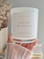 Cactus Blossom Coconut Soy Candle