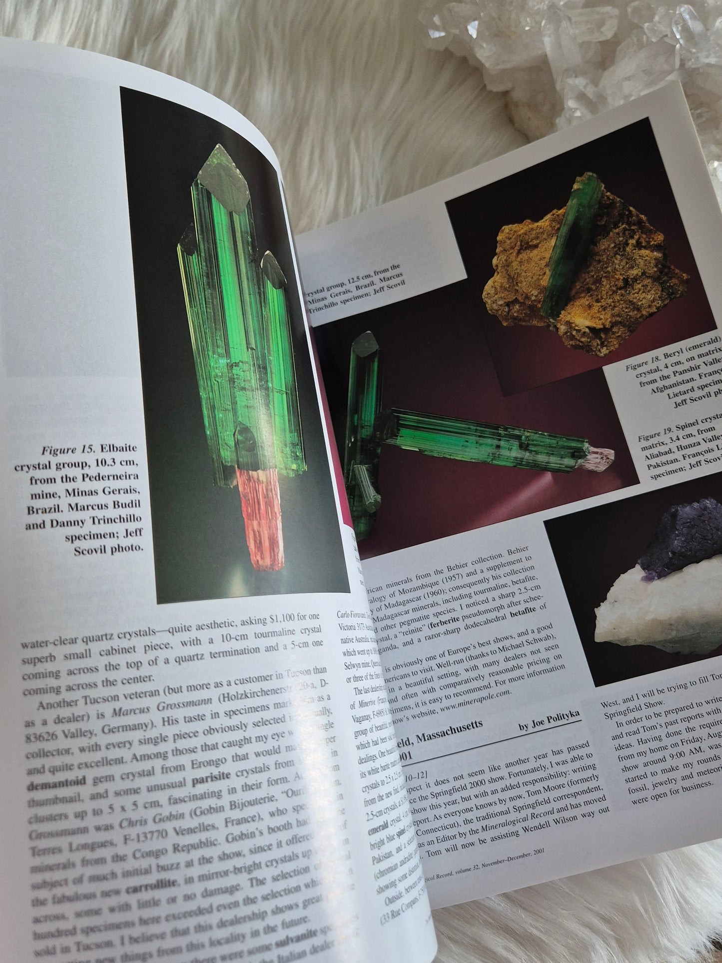 The Mineralogical Record November-December 2001 • Volume 32 • Number 6