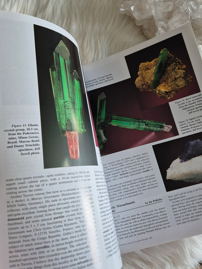 The Mineralogical Record November-December 2001 • Volume 32 • Number 6