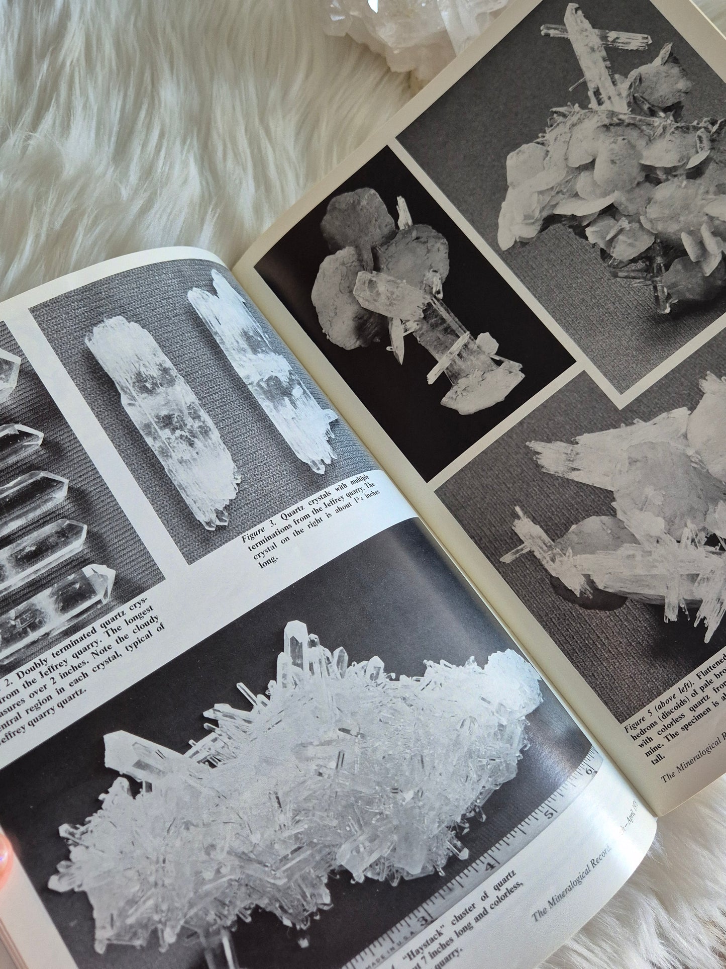 The Mineralogical Record March-April 1978 • Volume 9 • Number 2