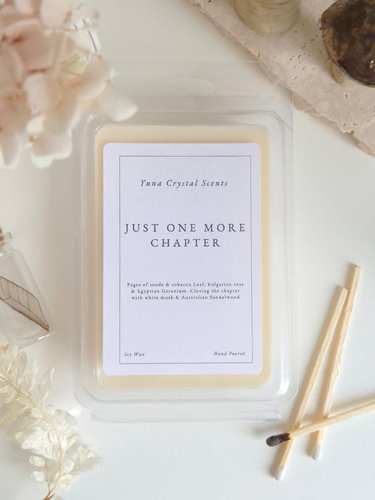 Just One More Chapter Wax Melt