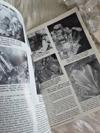 The Mineralogical Record January-Febuary 1983 • Volume 14 • Number 1