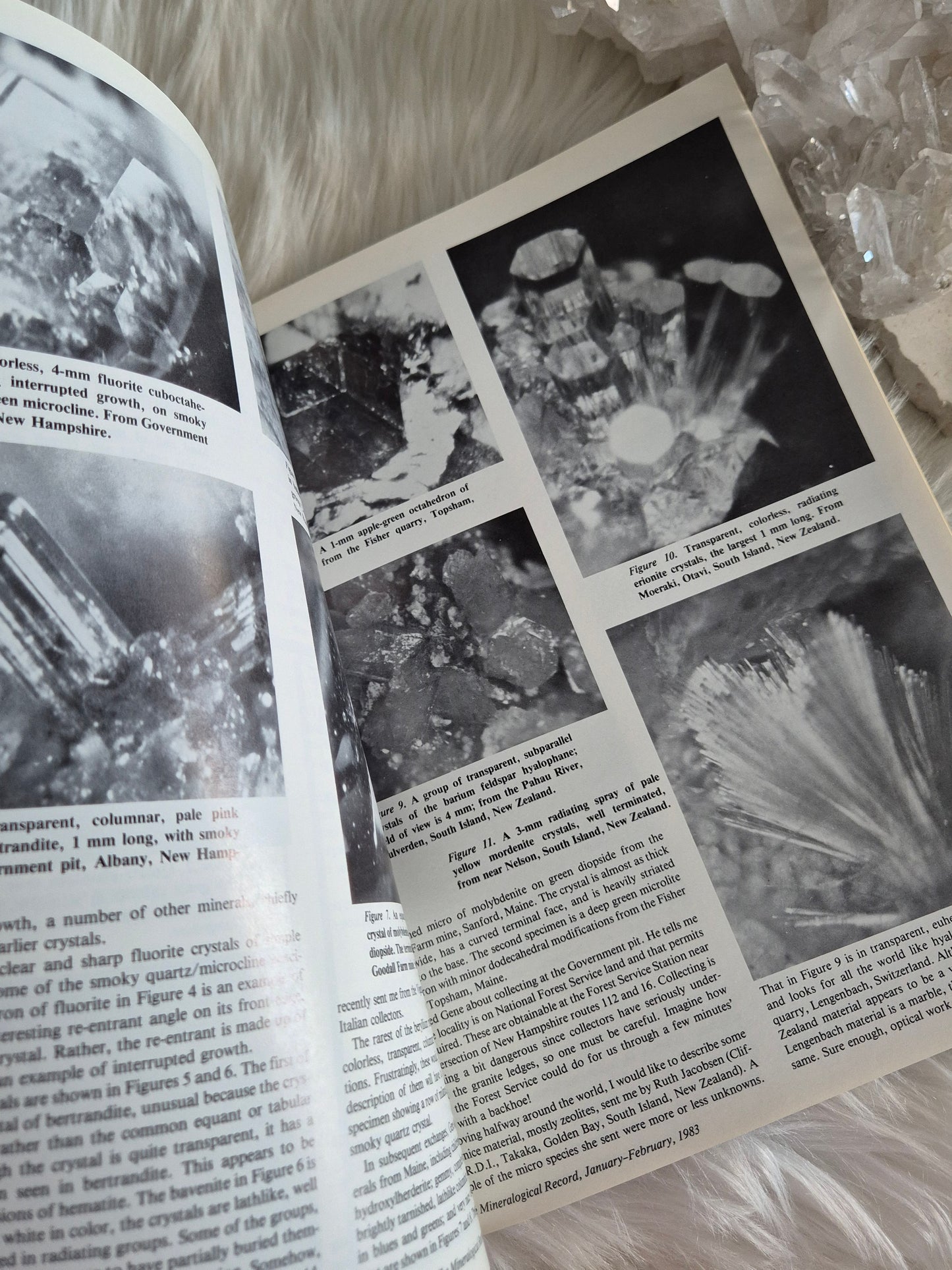 The Mineralogical Record January-Febuary 1983 • Volume 14 • Number 1