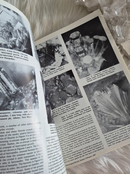 The Mineralogical Record January-Febuary 1983 • Volume 14 • Number 1