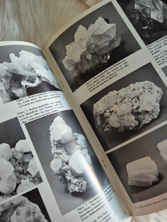 The Mineralogical Record March-April 1978 • Volume 9 • Number 2