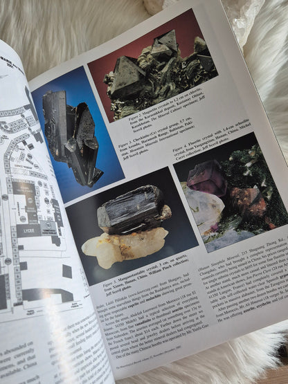 The Mineralogical Record November-December 2001 • Volume 32 • Number 6