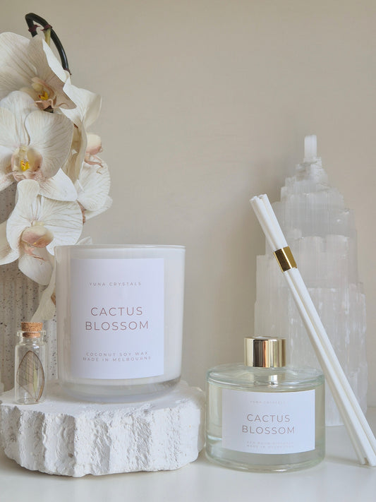 Cactus Blossom Reed Diffuser