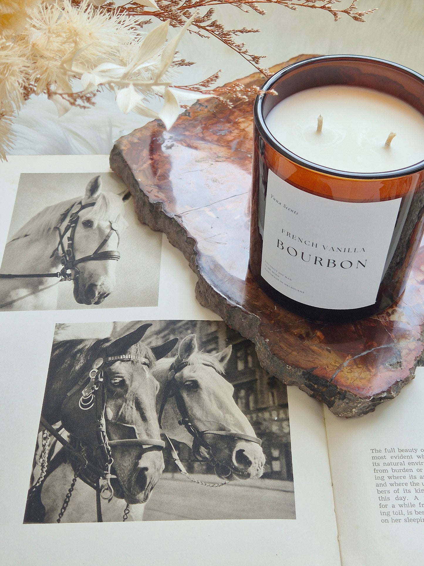 French Vanilla Bourbon Coco Soy Candle