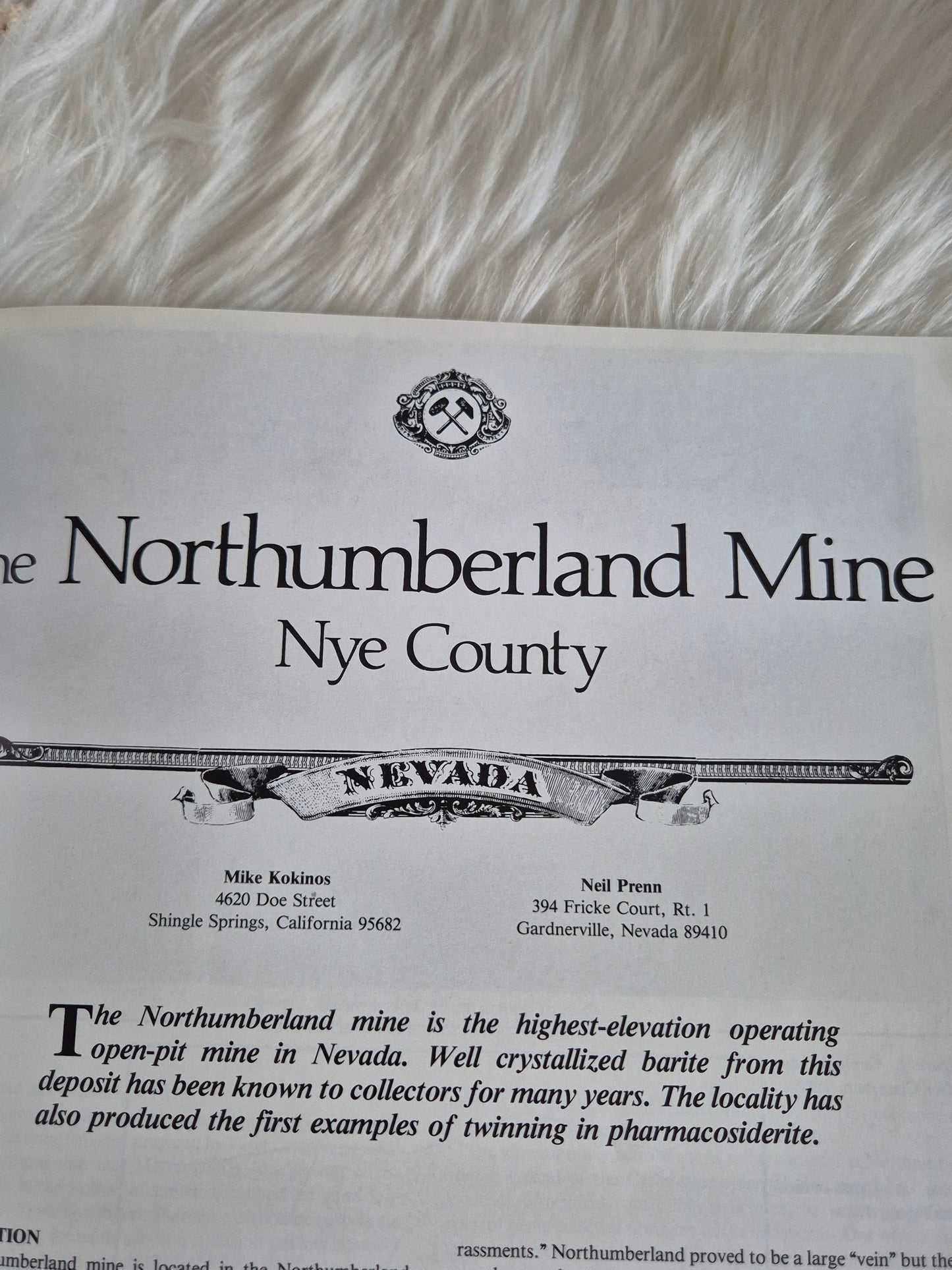 The Mineralogical Record January-Febuary 1985 • Volume 16 • Number 1