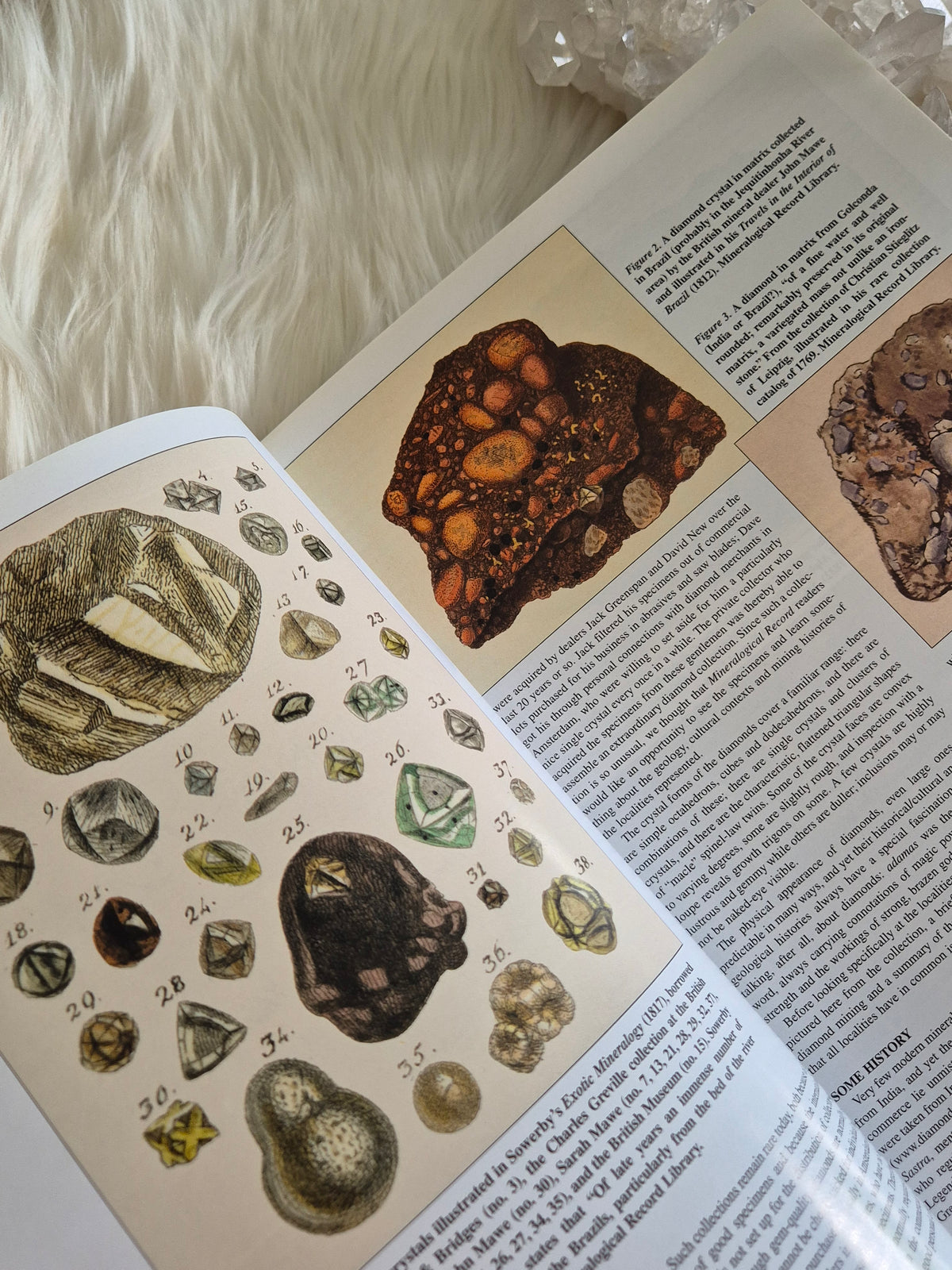 The Mineralogical Record January-Febuary 2004 • Volume 35 • Number 1
