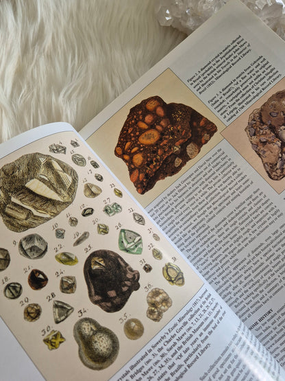 The Mineralogical Record January-Febuary 2004 • Volume 35 • Number 1