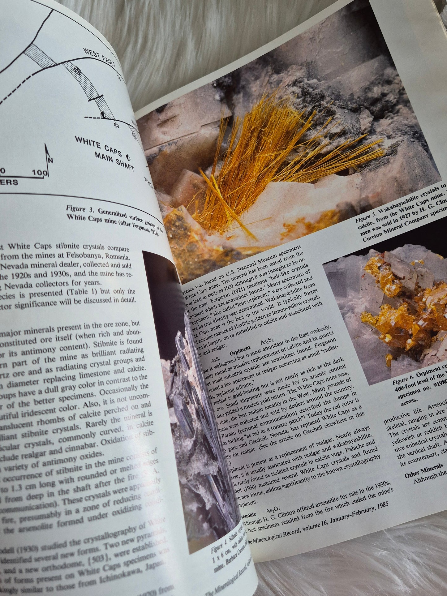 The Mineralogical Record January-Febuary 1985 • Volume 16 • Number 1