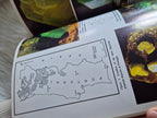 The Mineralogical Record September-October 1984 • Volume 15 • Number 5