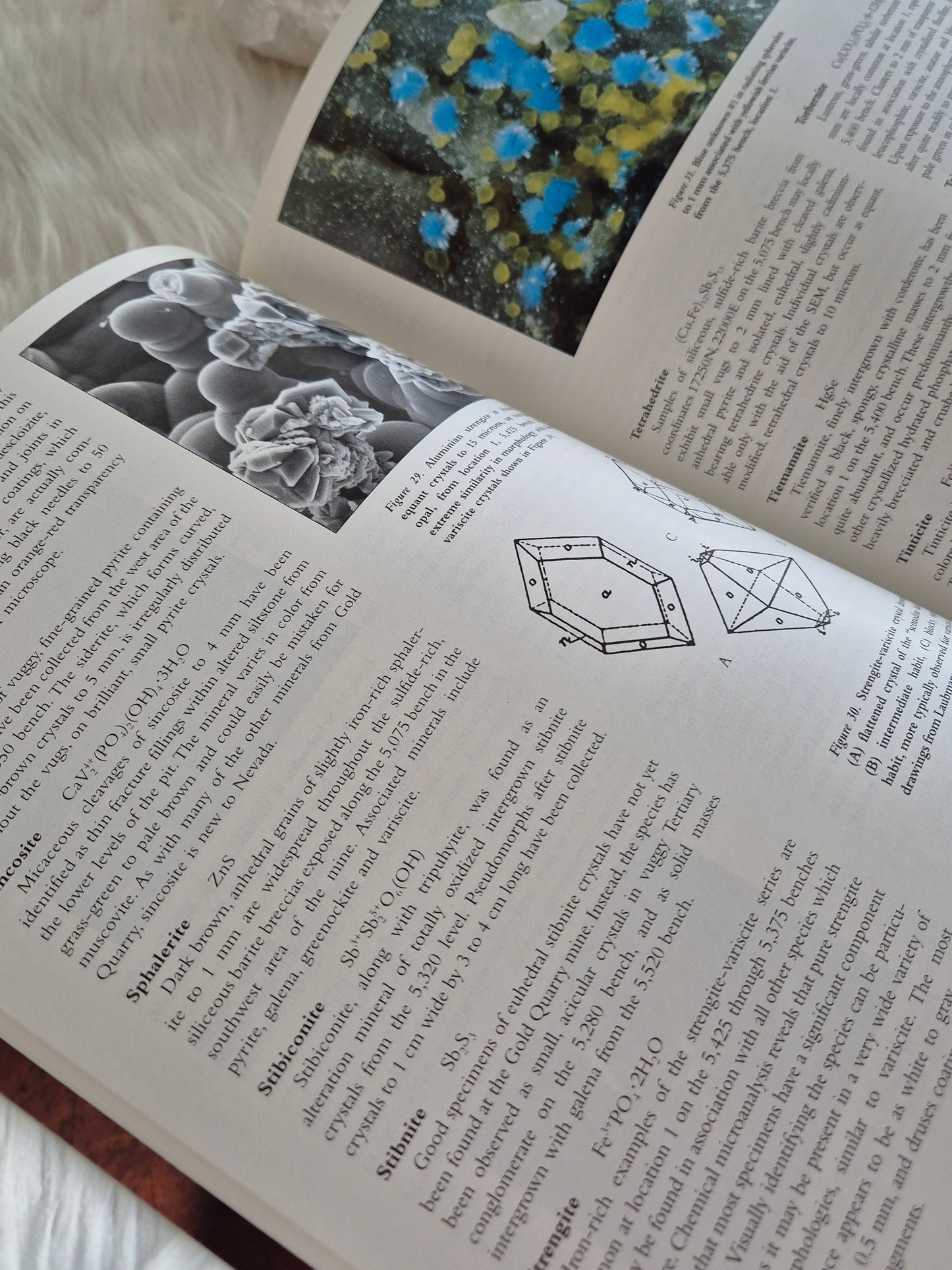 The Mineralogical Record September-October 1995 • Volume 26 • Number 5