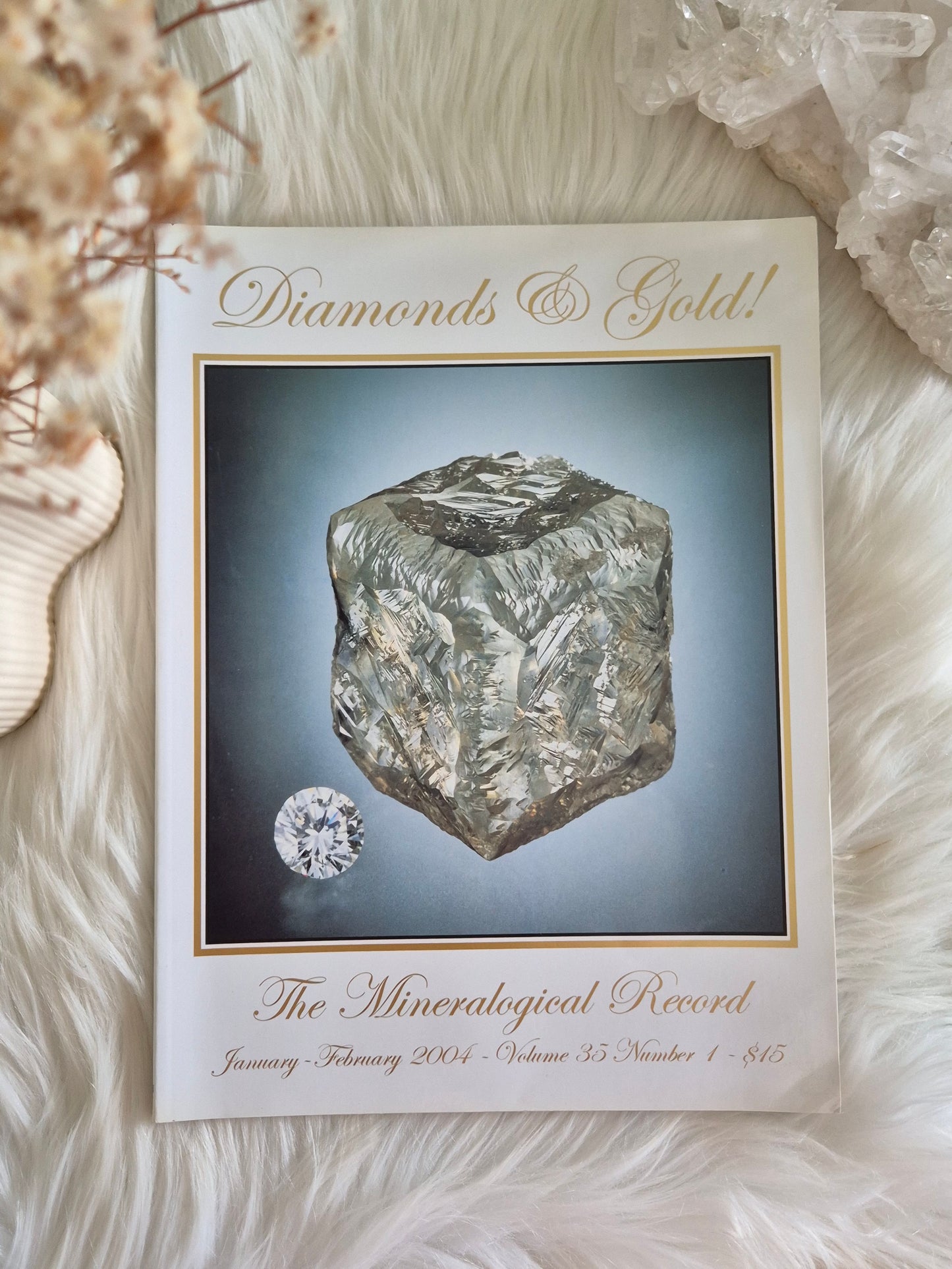 The Mineralogical Record January-Febuary 2004 • Volume 35 • Number 1