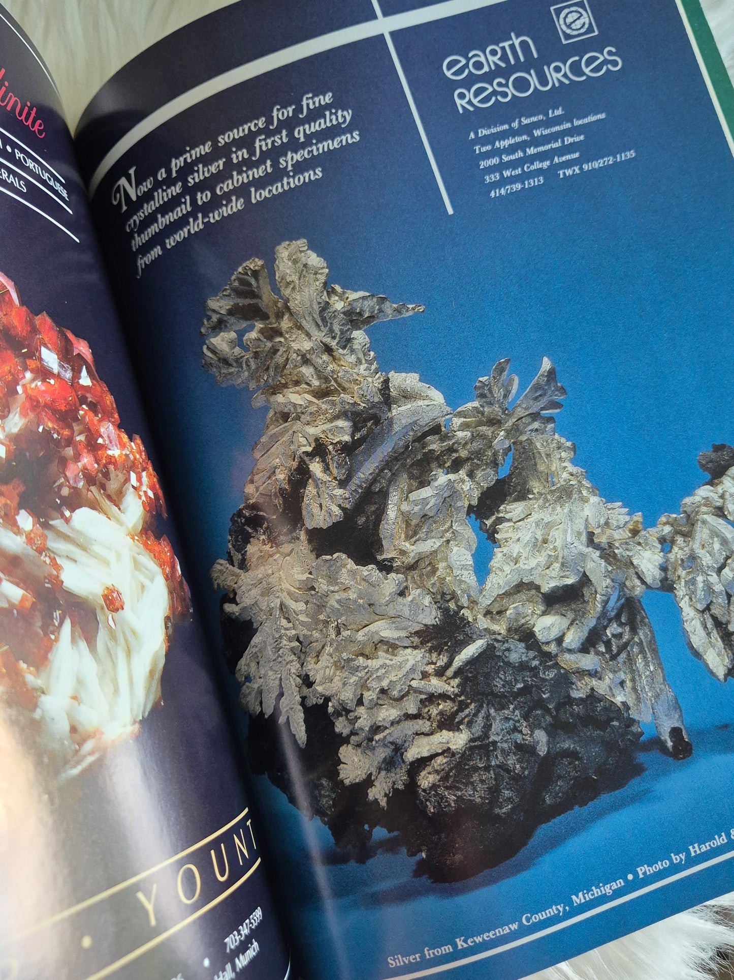 The Mineralogical Record January-Febuary 1986 • Volume 17 • Number 1