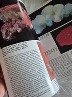 The Mineralogical Record November-December 1983 • Volume 14 • Number 6