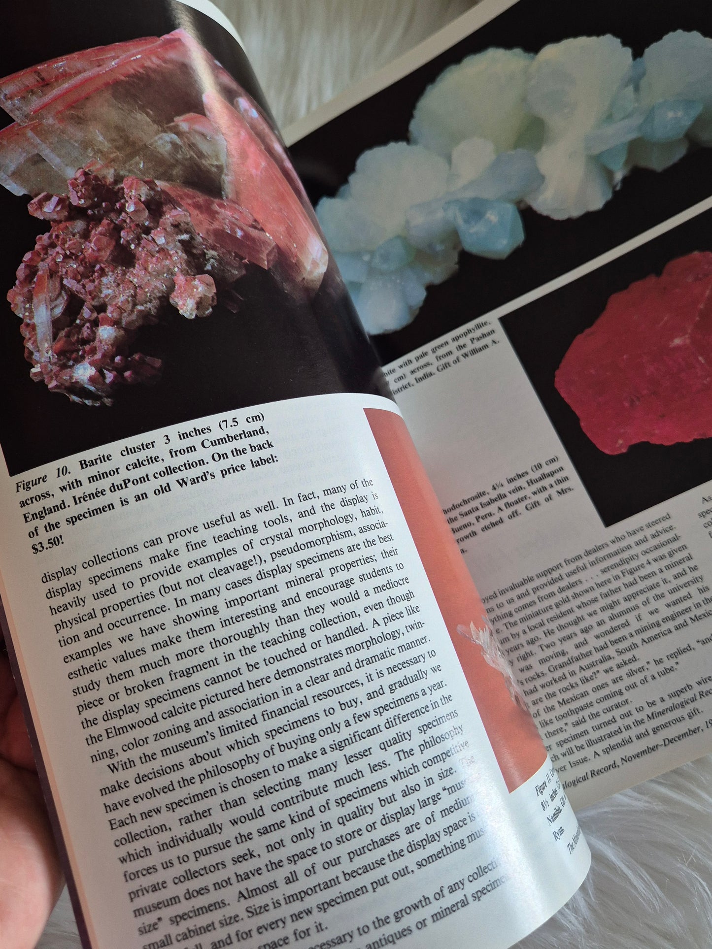 The Mineralogical Record November-December 1983 • Volume 14 • Number 6