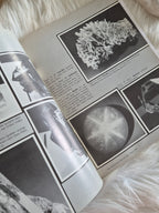 *RARE* The Mineralogical Record May-June 1976 • Volume 7 • Number 3