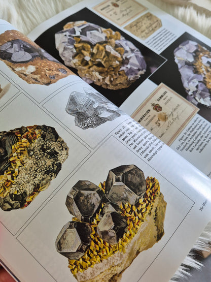The Mineralogical Record January-Febuary 2012 • Volume 43 • Number 1