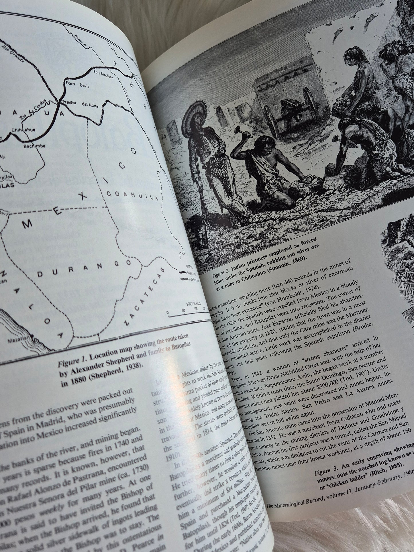 The Mineralogical Record January-Febuary 1986 • Volume 17 • Number 1