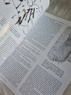 The Mineralogical Record March-April 2005 • Volume 36 • Number 2