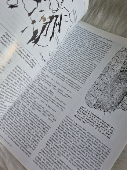 The Mineralogical Record March-April 2005 • Volume 36 • Number 2