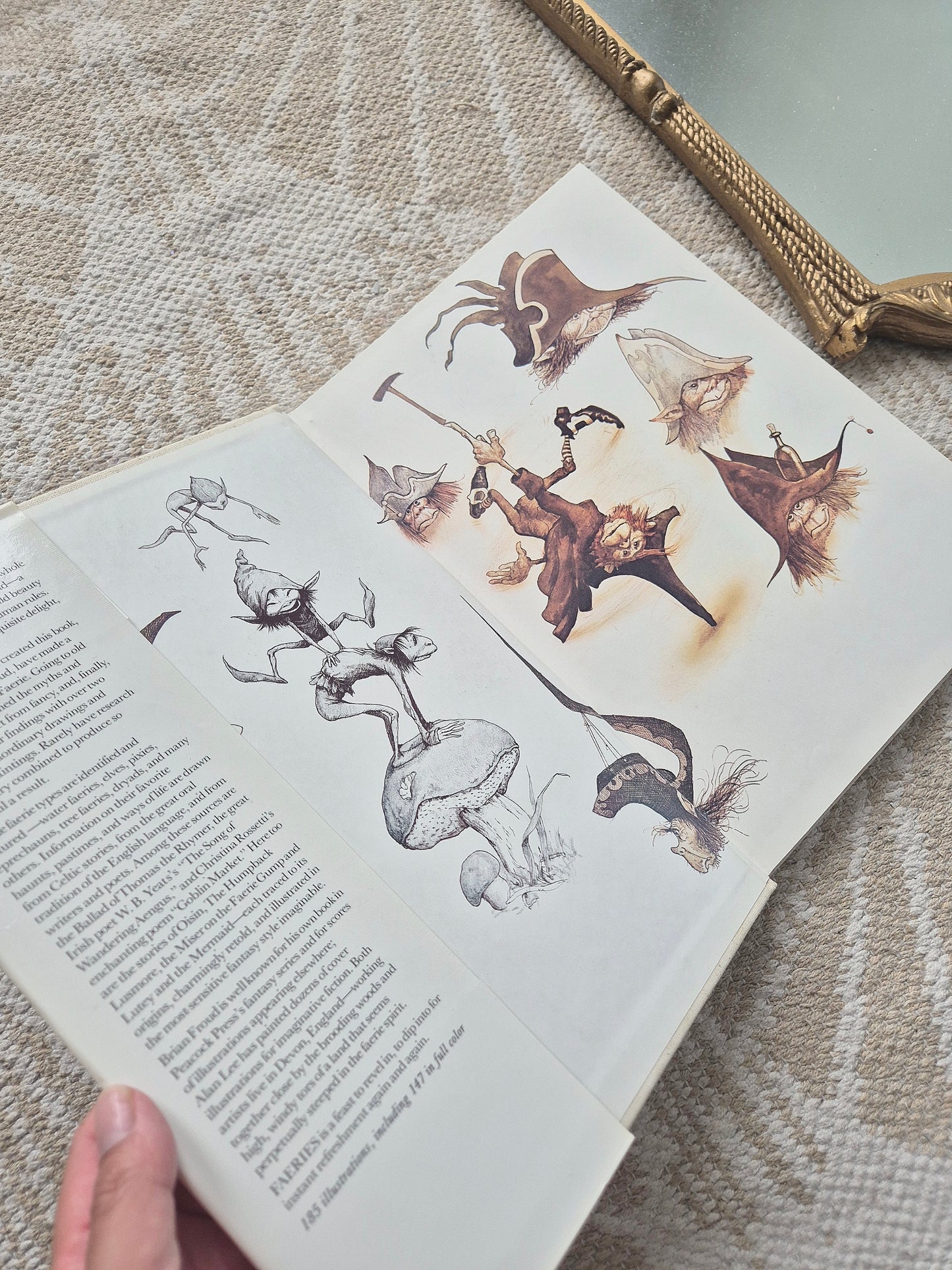 FAERIES by Brian Froud and Alan Lee - 1978 first edition with original dust jacket