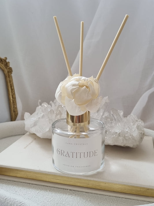 GRATITUDE Sola Reed Room Diffuser