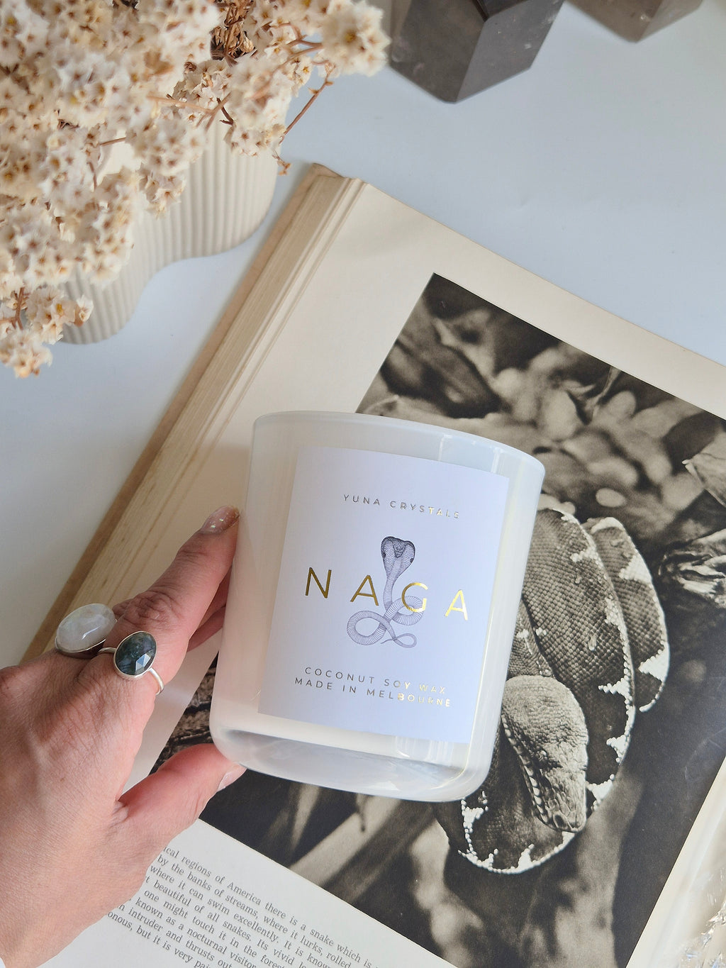 NAGA