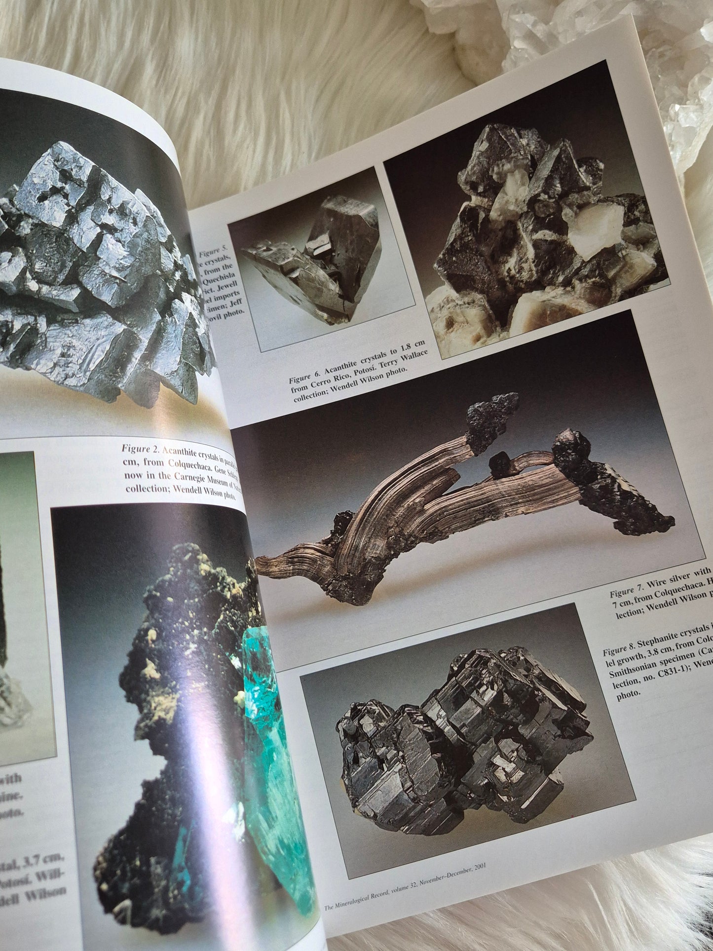 The Mineralogical Record November-December 2001 • Volume 32 • Number 6