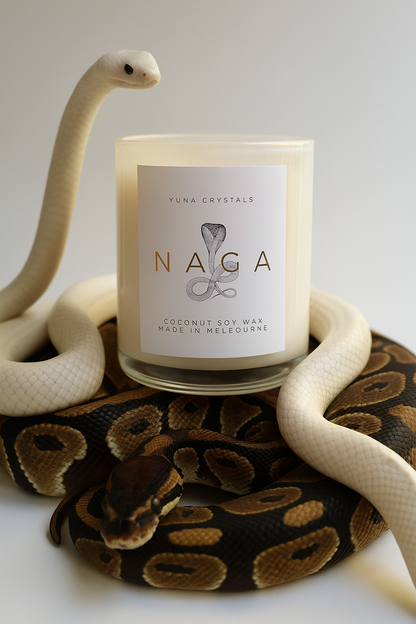 NAGA