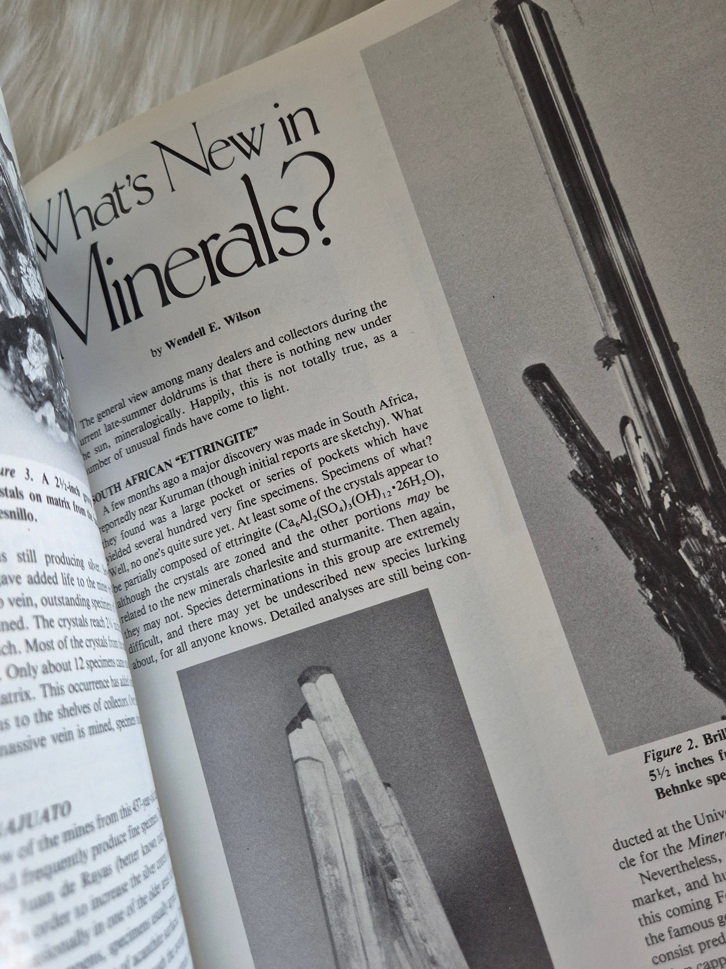 The Mineralogical Record November-December 1983 • Volume 14 • Number 6