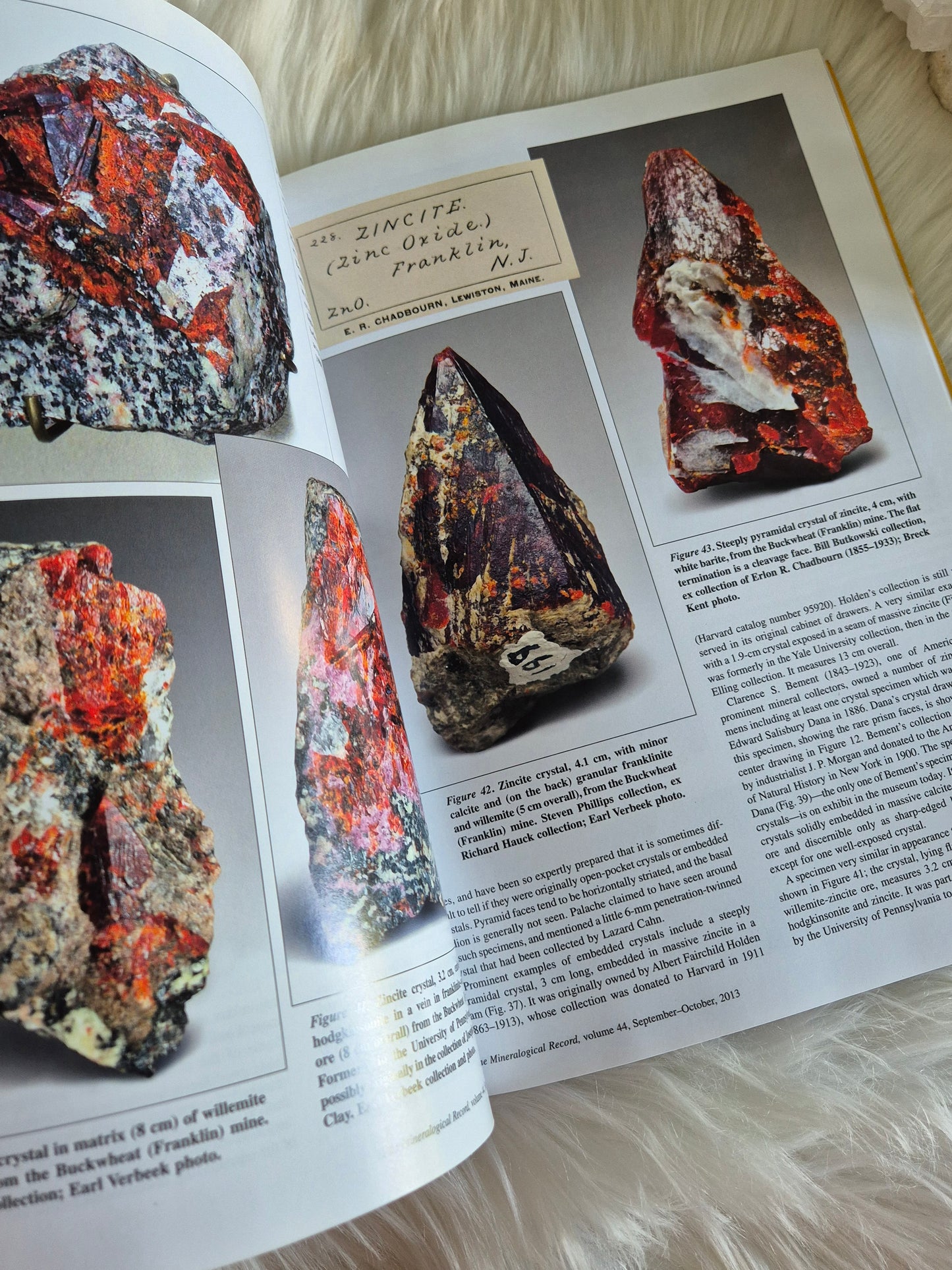 The Mineralogical Record September-October 2013 • Volume 44 • Number 5